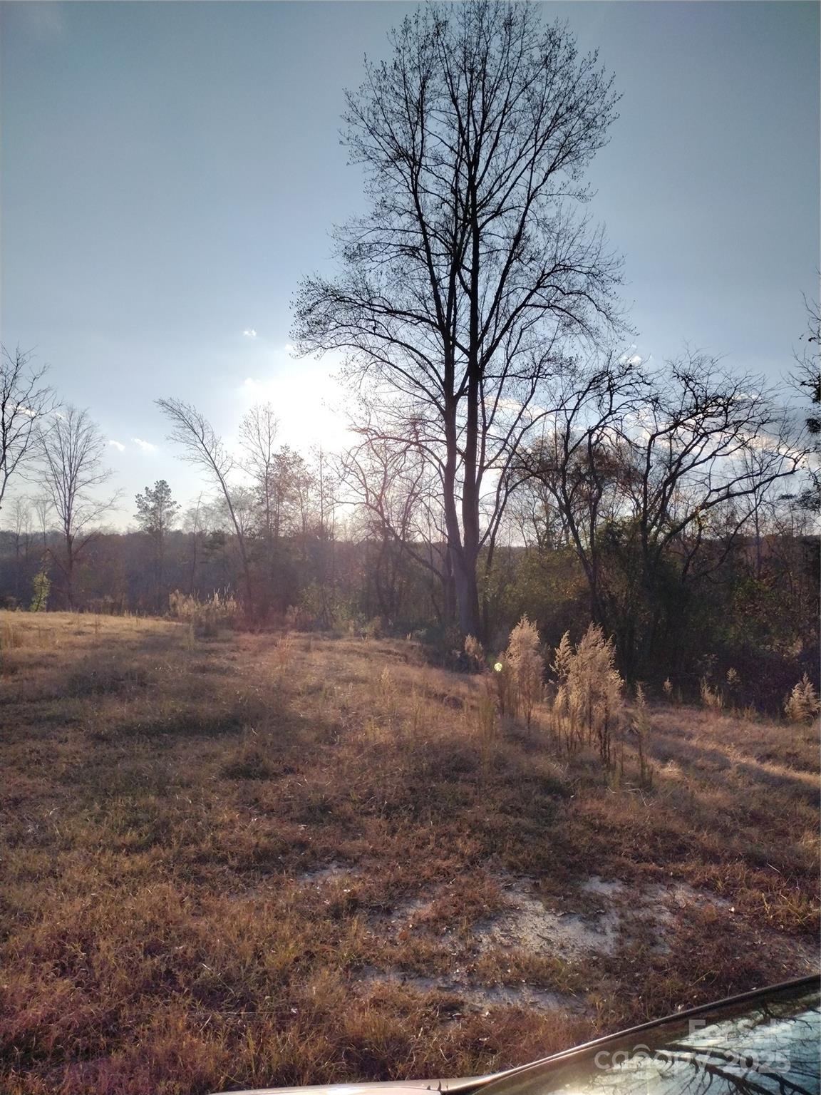 2211 Bottom Drive Chester, SC 29706 - Photo 4 of 5 a view of dirt yard
