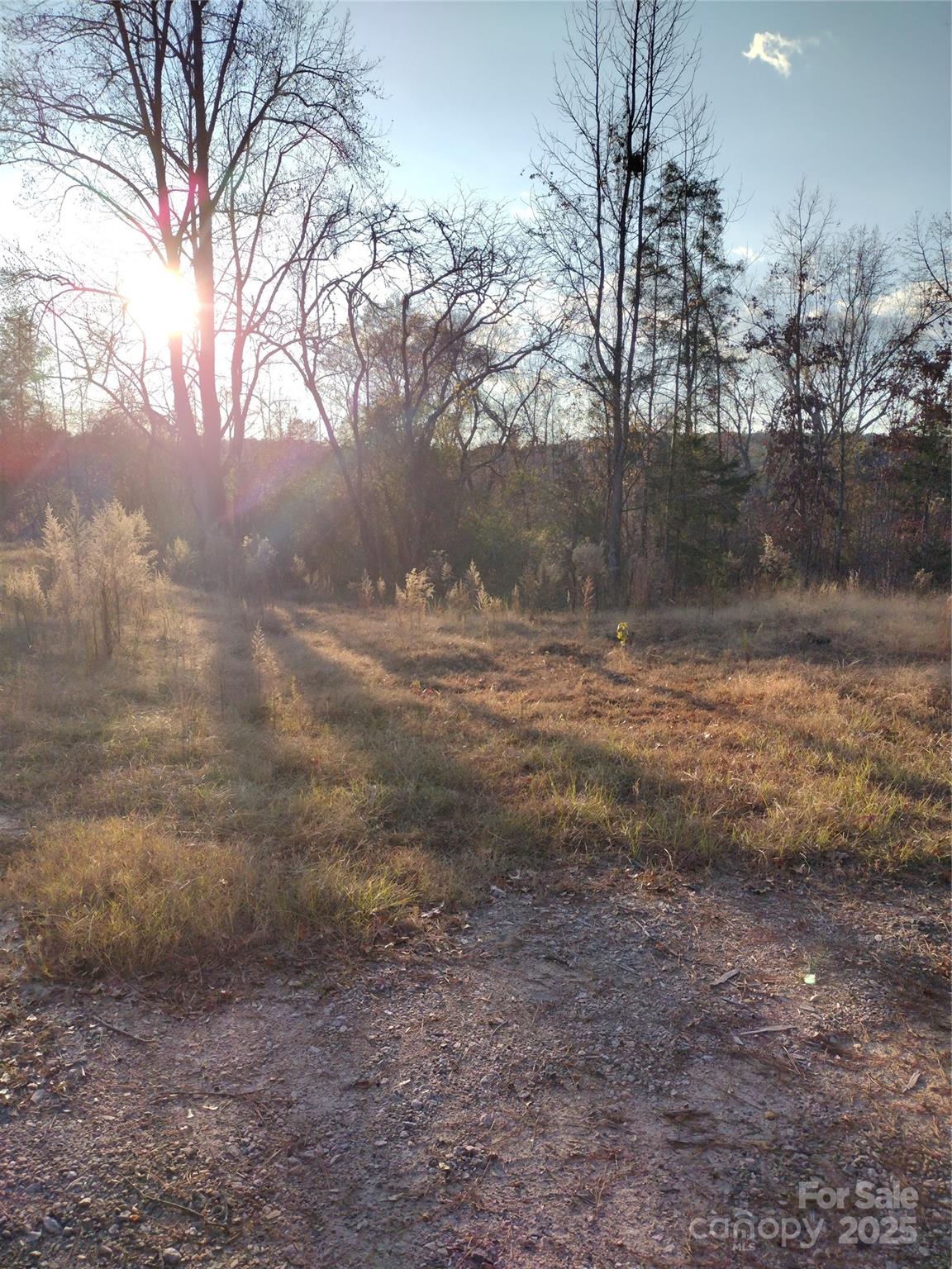 2211 Bottom Drive Chester, SC 29706 - Photo 5 of 5 a view of a yard with a tree
