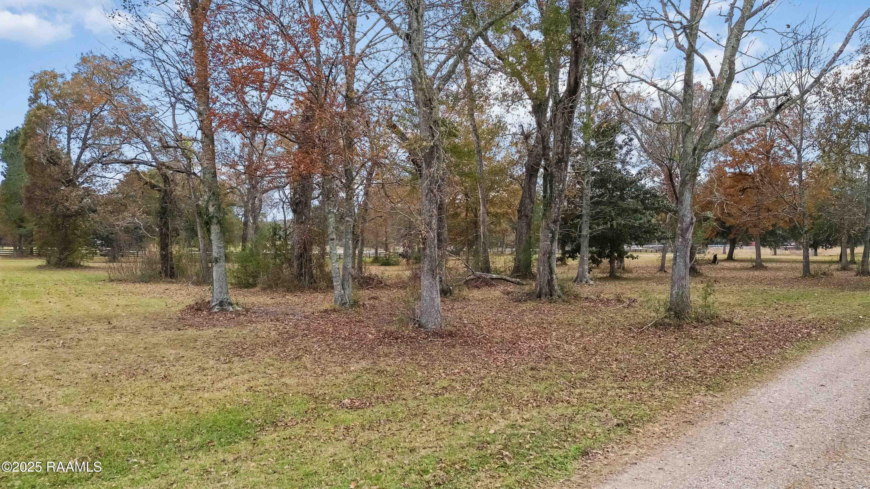 Tbd Oakridge Rnch Road Sunset, LA 70584 - Photo 8 of 15 011