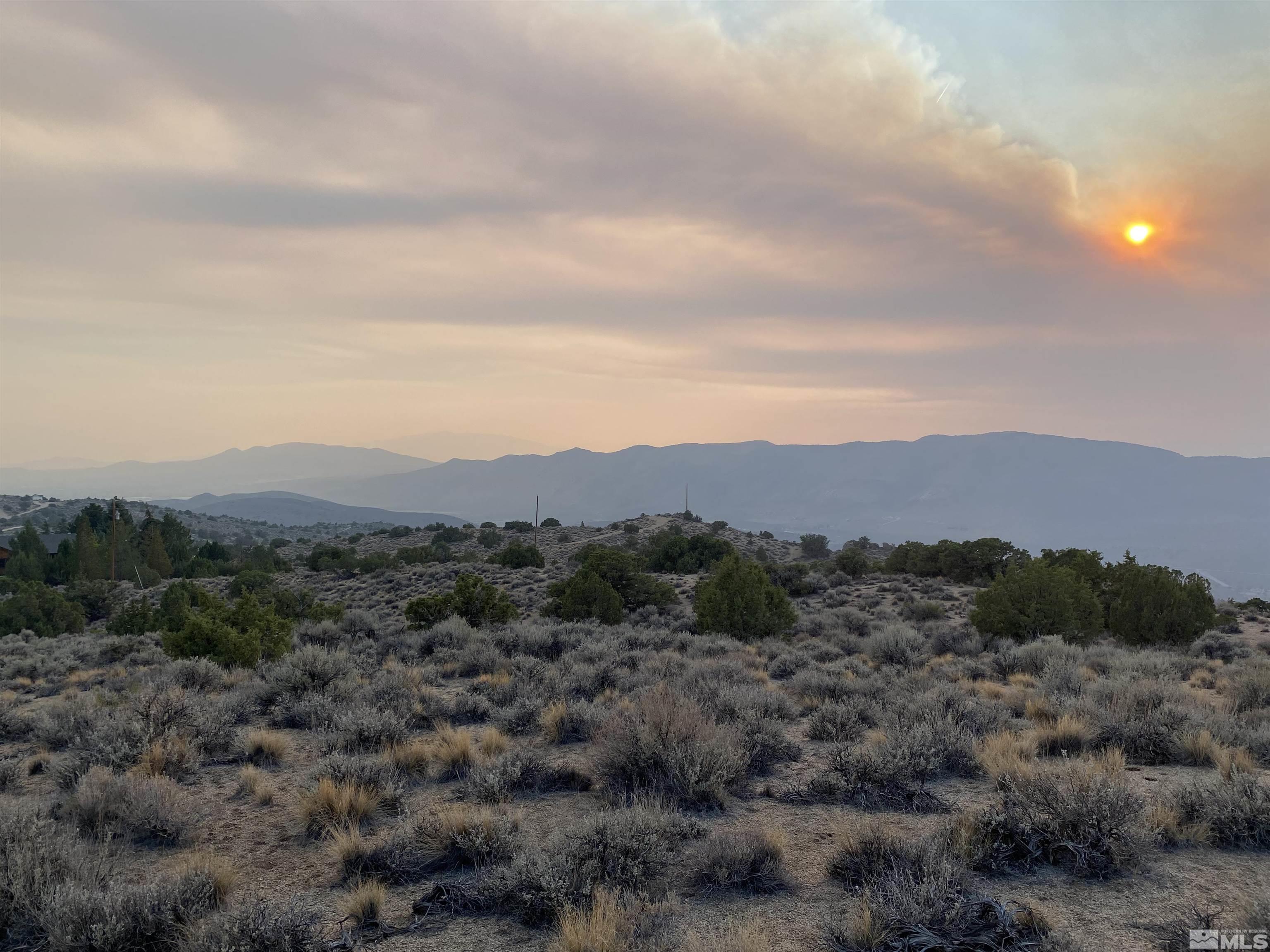 Curnow Canyon Road Reno, NV 89510 - Photo 4 of 10 a view of a forest with mountains in the background