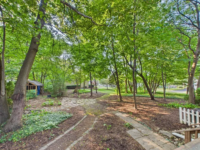 a view of a park with large trees