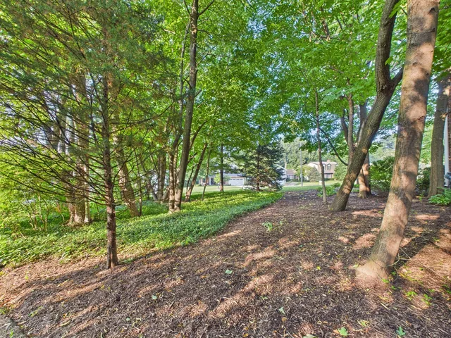 a view of a deck with large trees and wooden fence