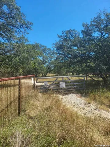 a view of backyard with green space