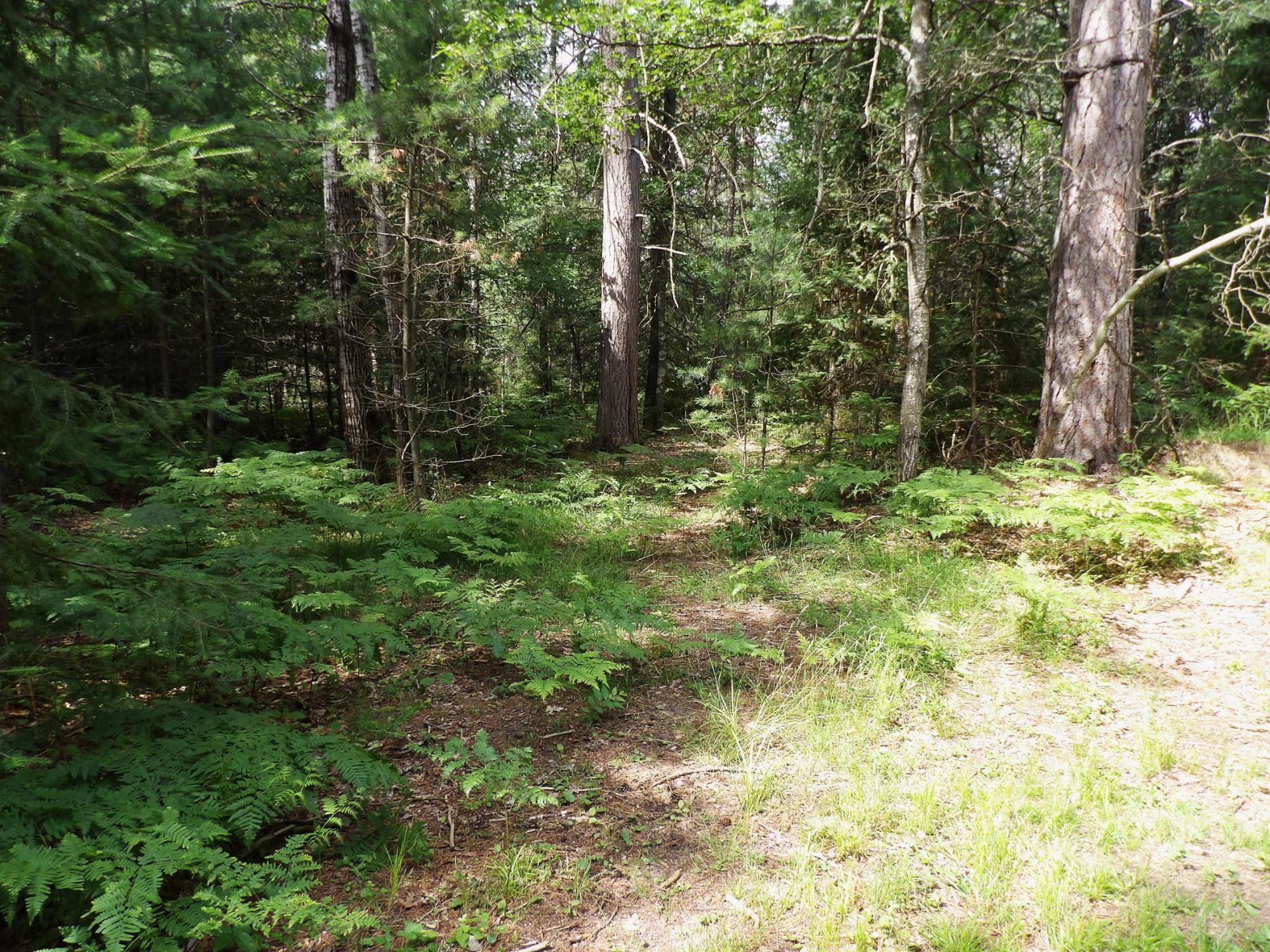 32-ac On Pine Lake Road Rhinelander, WI 54501 - Photo 16 of 27 Gallery Image 16