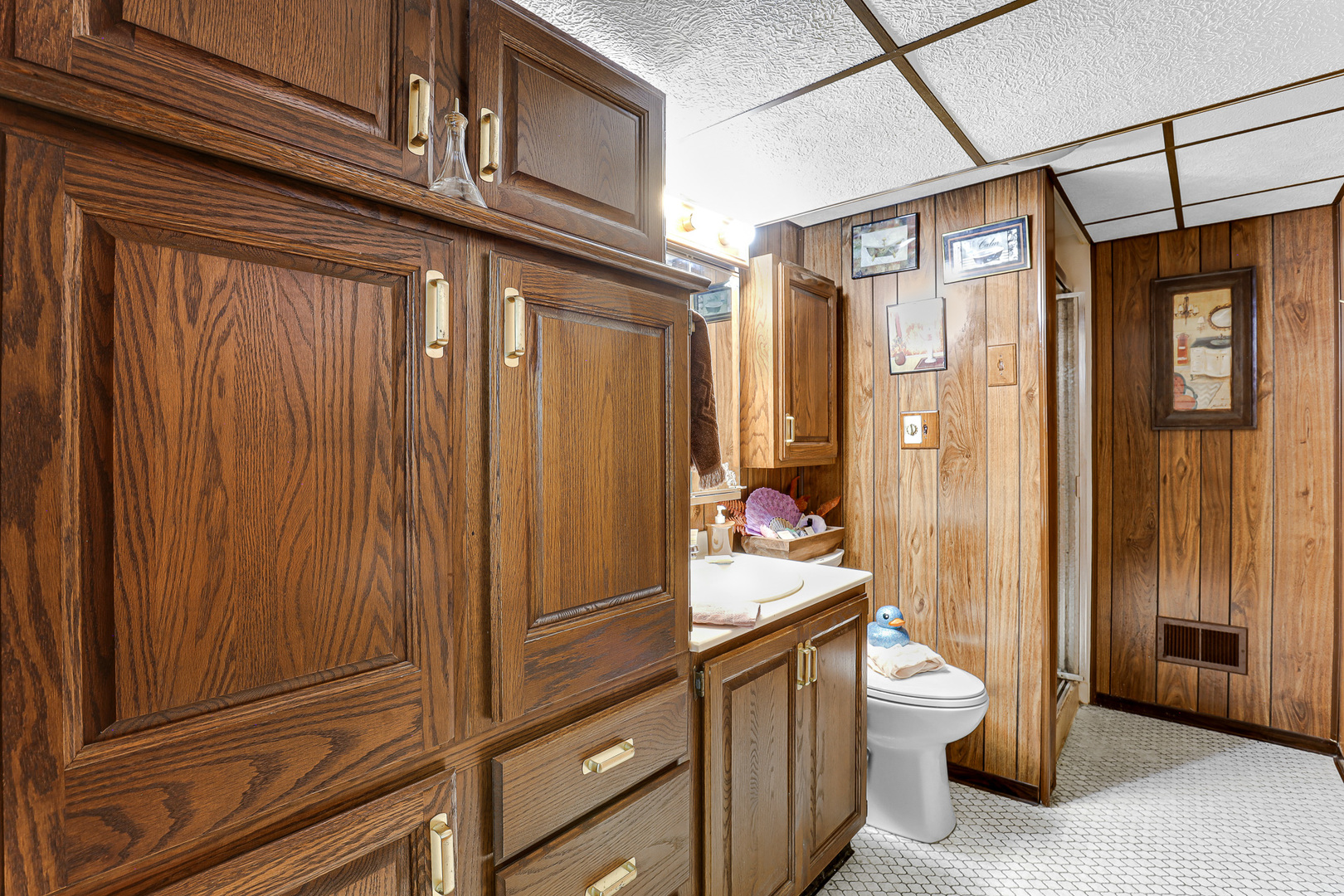 6210 West 64th Street Chicago, IL 60638 - Photo 18 of 24