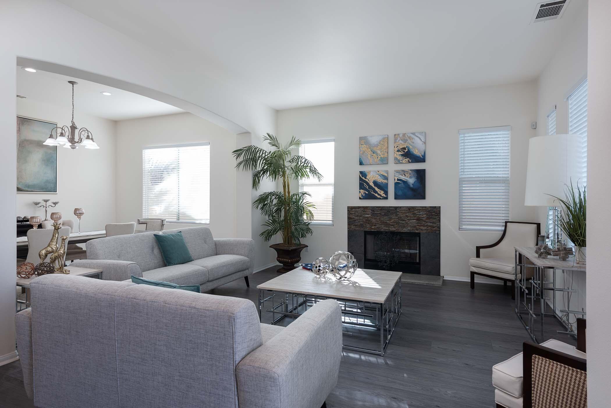 49534 Lewis Road Indio, CA 92201 - Photo 9 of 44 a living room with furniture a fireplace and a potted plant