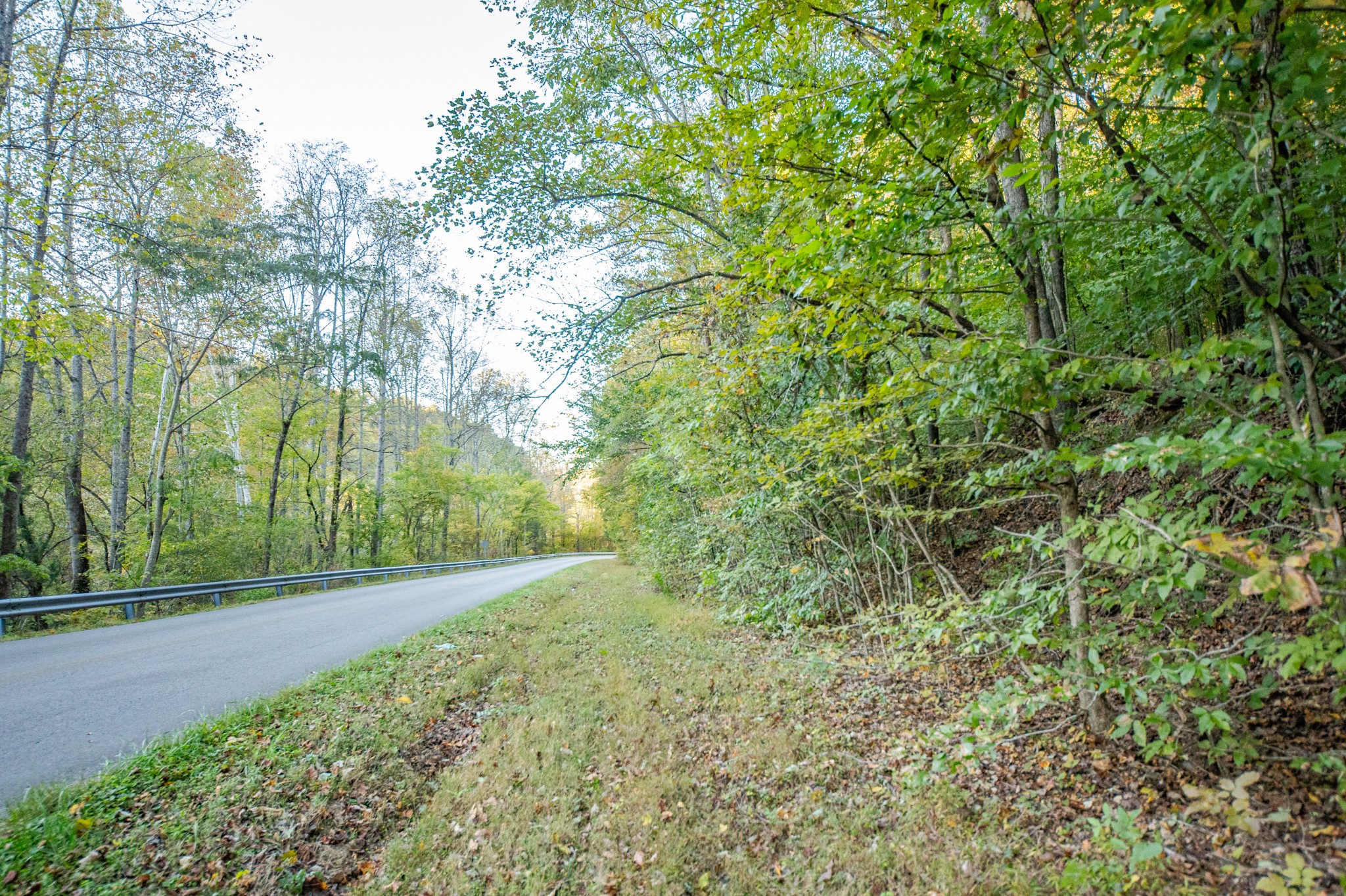 0 John Barnes Road Cornersville, TN 37047 - Photo 12 of 33 a view of a yard with plants and trees