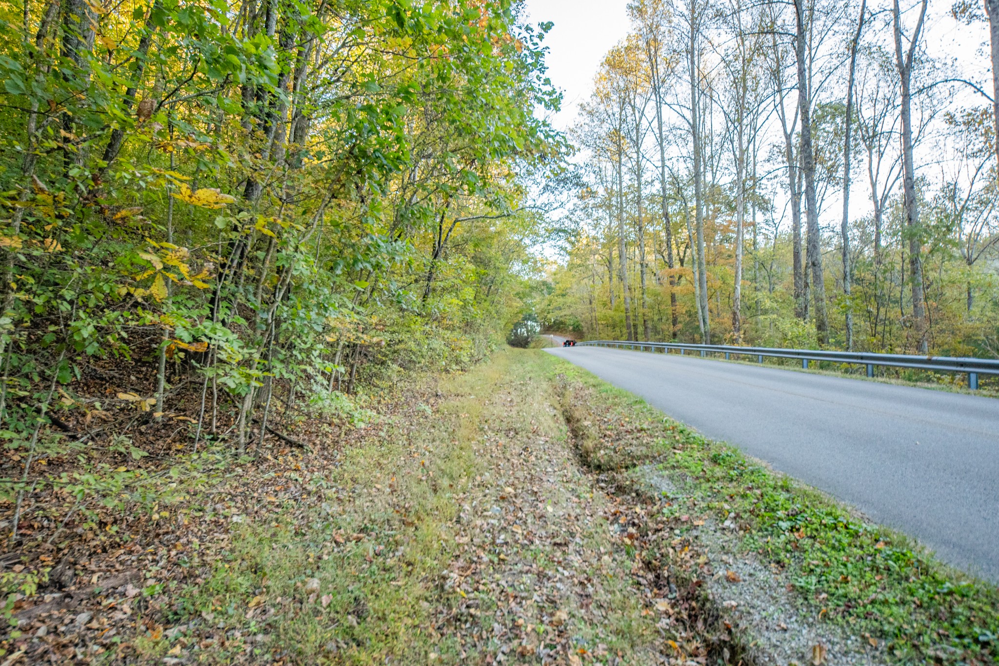 0 John Barnes Road Cornersville, TN 37047 - Photo 13 of 33 a view of a yard with plants and trees