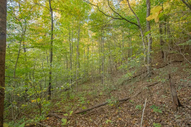 view of city and mountain