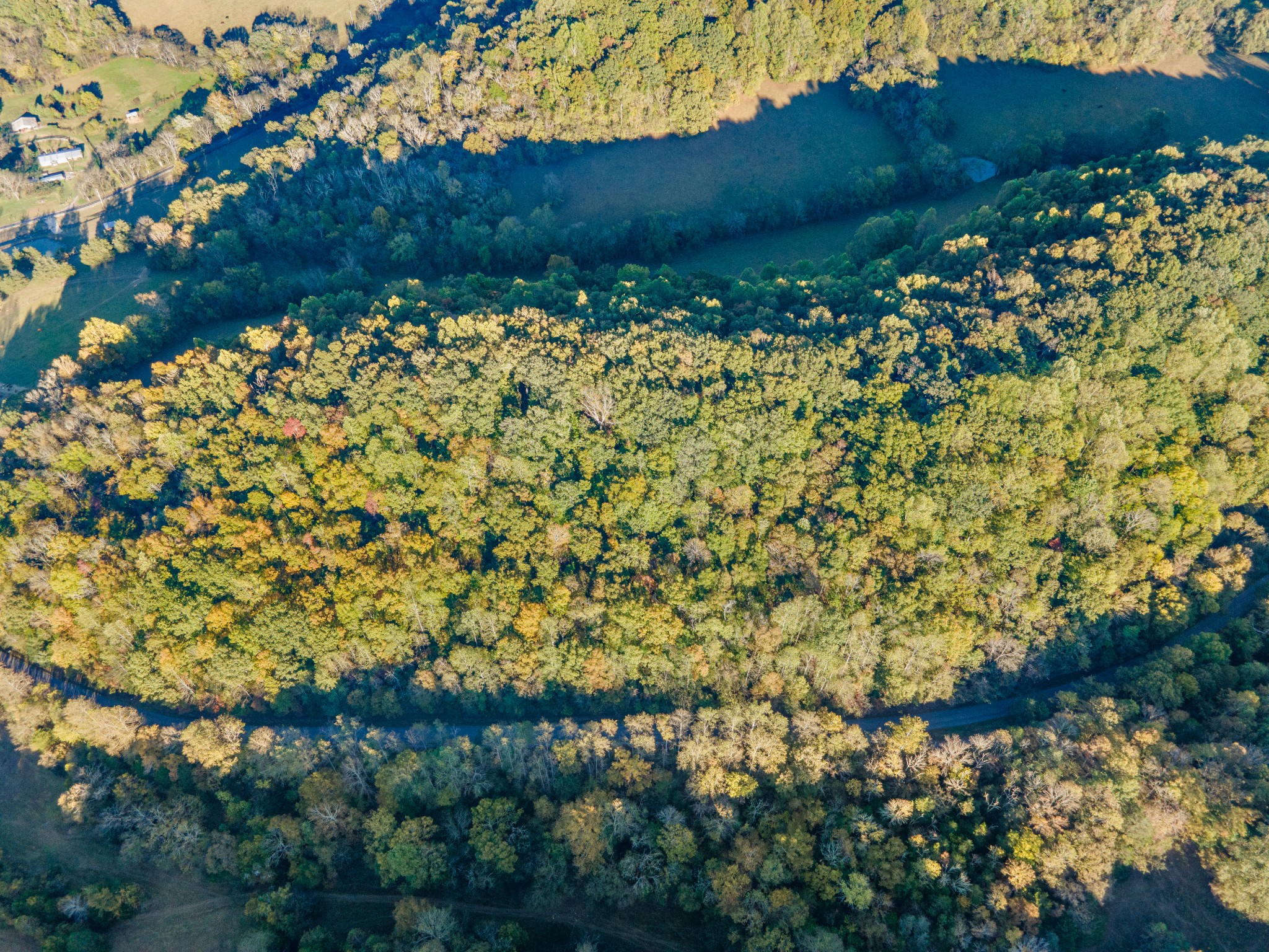0 John Barnes Road Cornersville, TN 37047 - Photo 24 of 33 a view of a garden