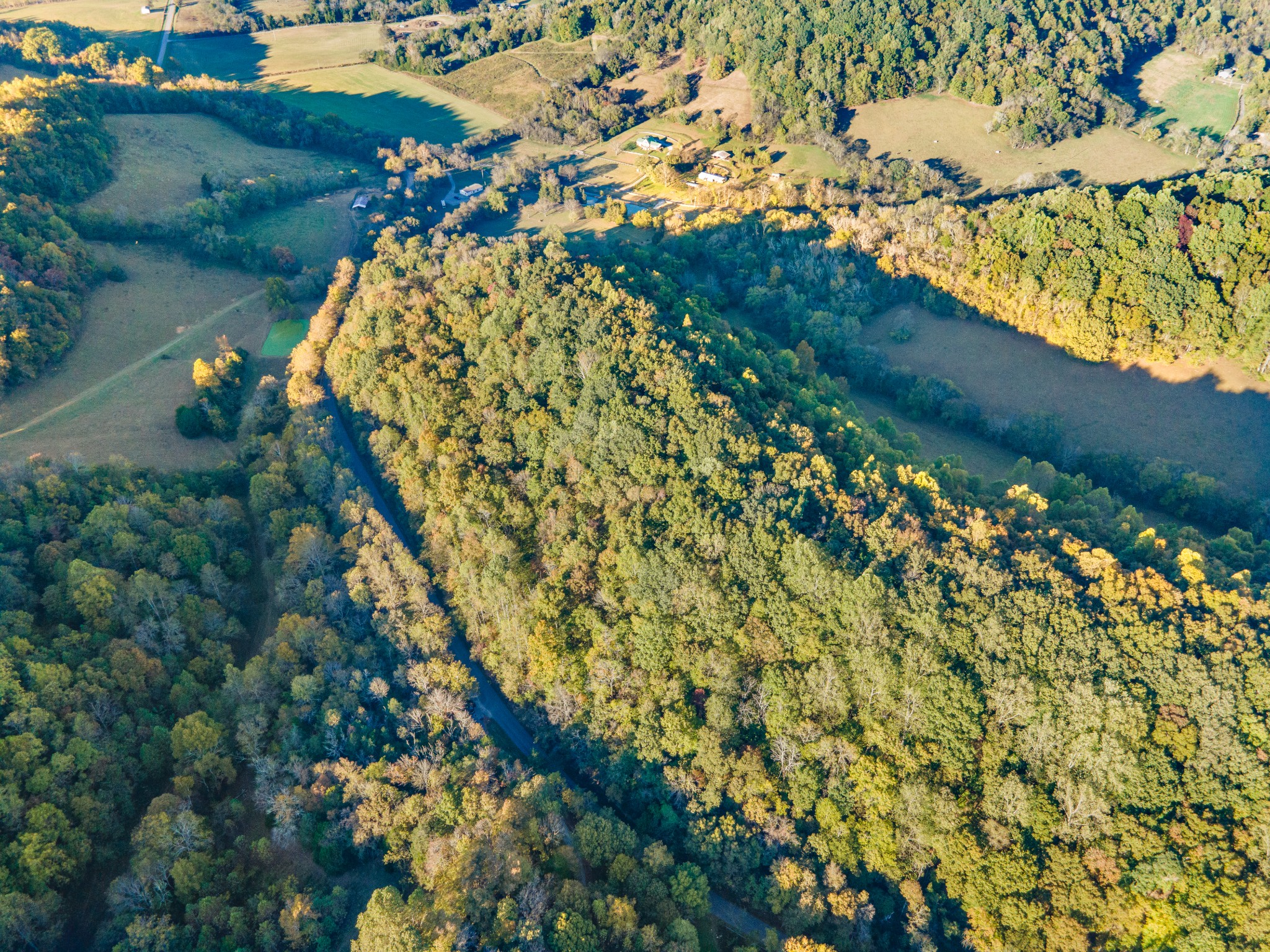 0 John Barnes Road Cornersville, TN 37047 - Photo 25 of 33 a view of a garden