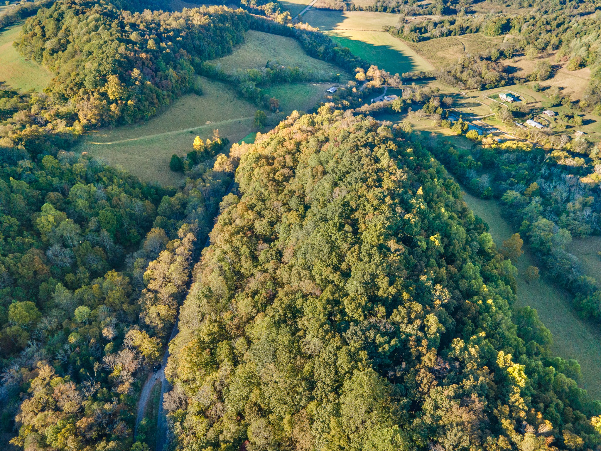 0 John Barnes Road Cornersville, TN 37047 - Photo 26 of 33
