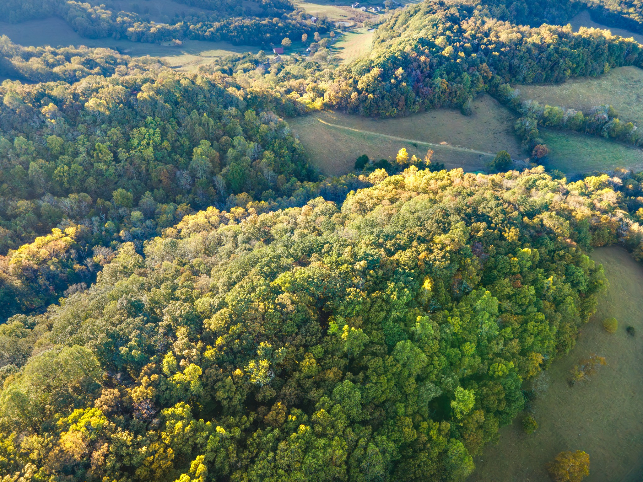0 John Barnes Road Cornersville, TN 37047 - Photo 27 of 33 a view of a lake with a yard