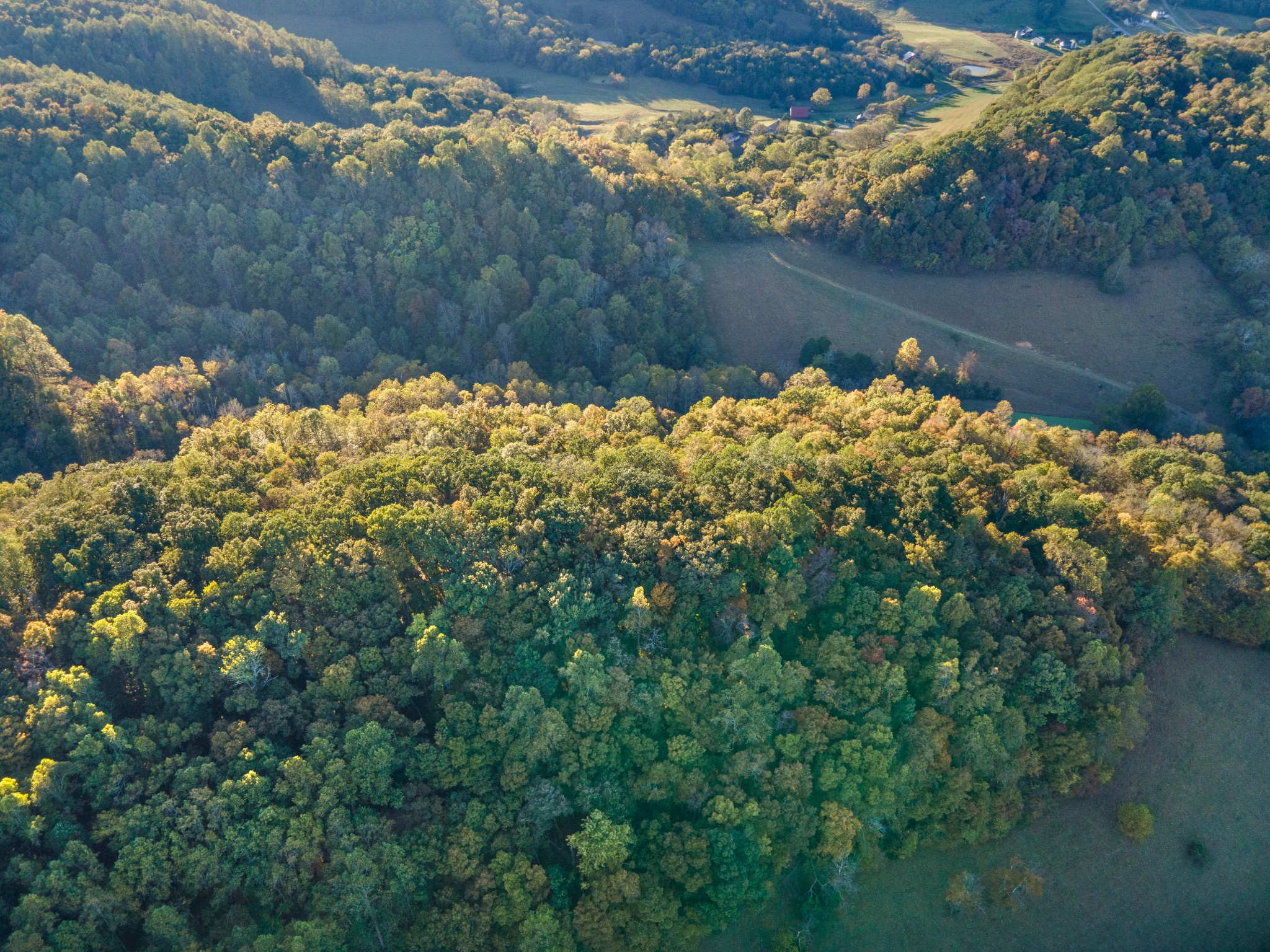 0 John Barnes Road Cornersville, TN 37047 - Photo 28 of 33 a view of a garden