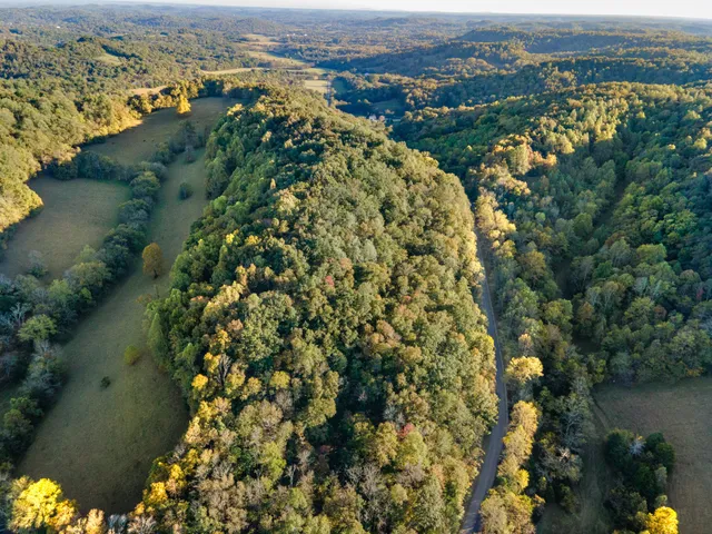 $150,000 | 0 John Barnes Road, Cornersville, TN 37047