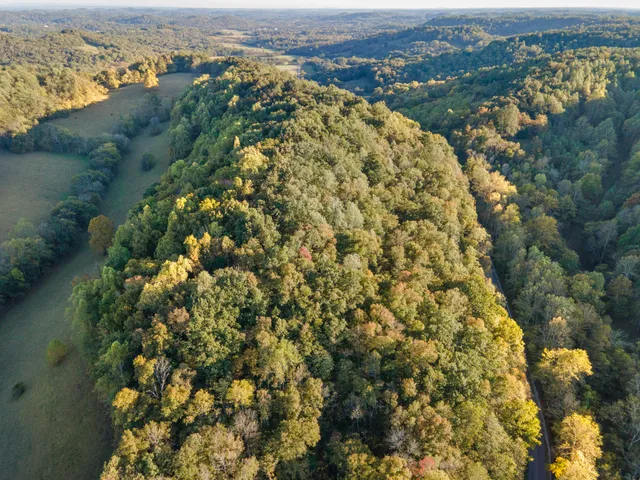 $150,000 | 0 John Barnes Road, Cornersville, TN 37047