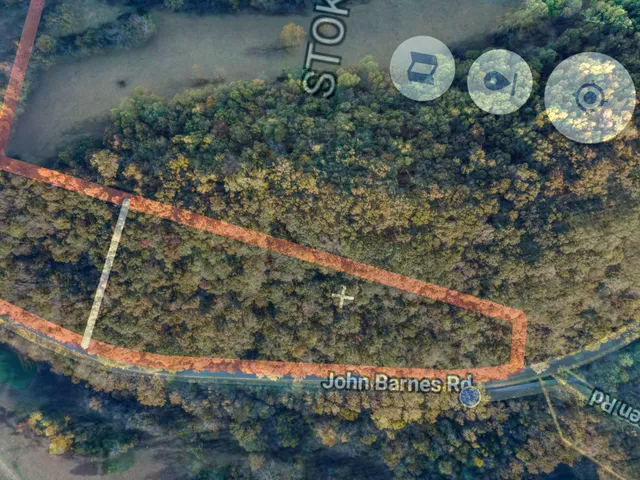 a view of a bunch of flowers and trees