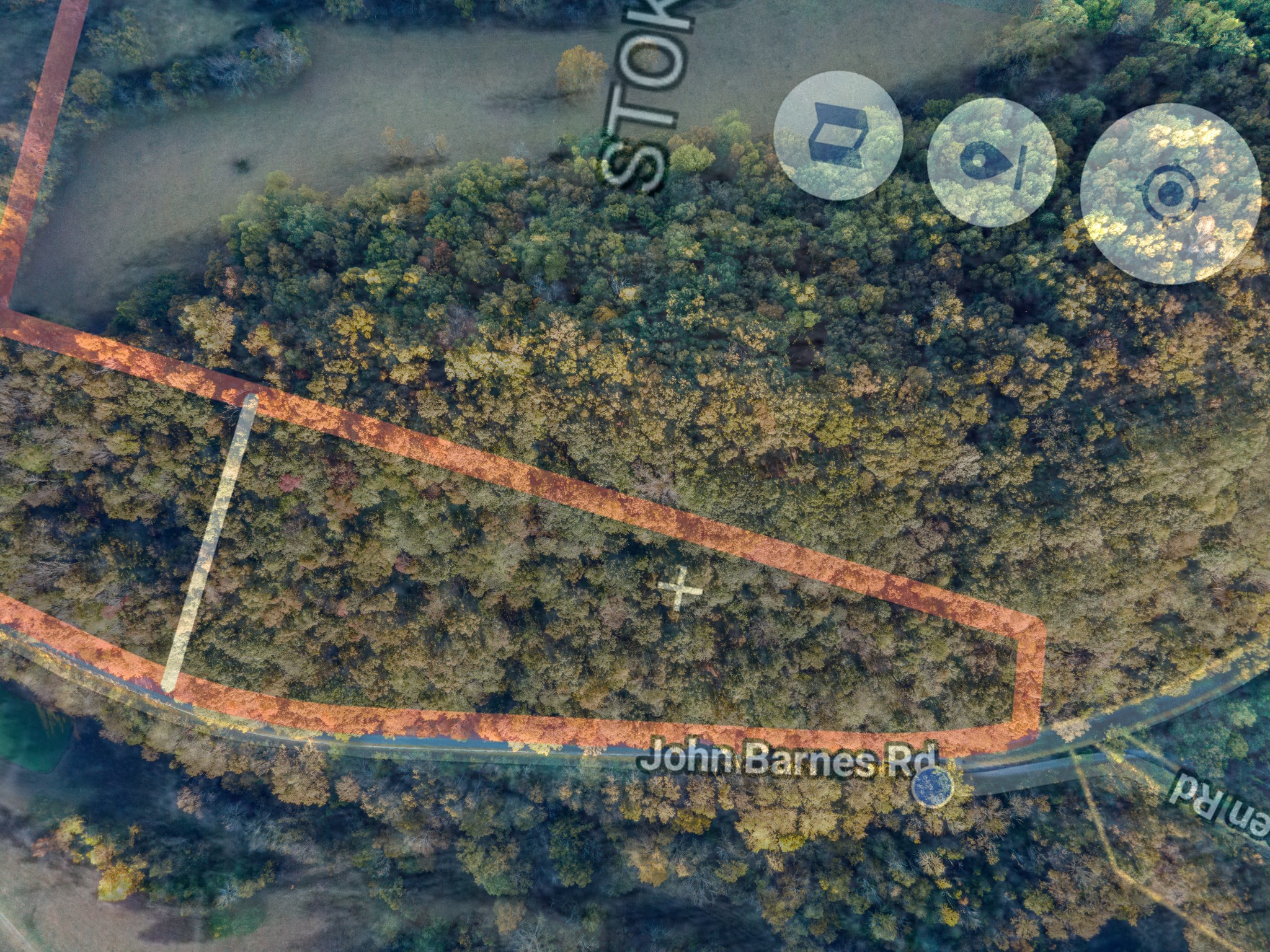 0 John Barnes Road Cornersville, TN 37047 - Photo 3 of 33 a view of a bunch of flowers and trees