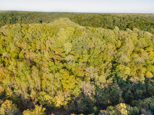 $150,000 | 0 John Barnes Road, Cornersville, TN 37047