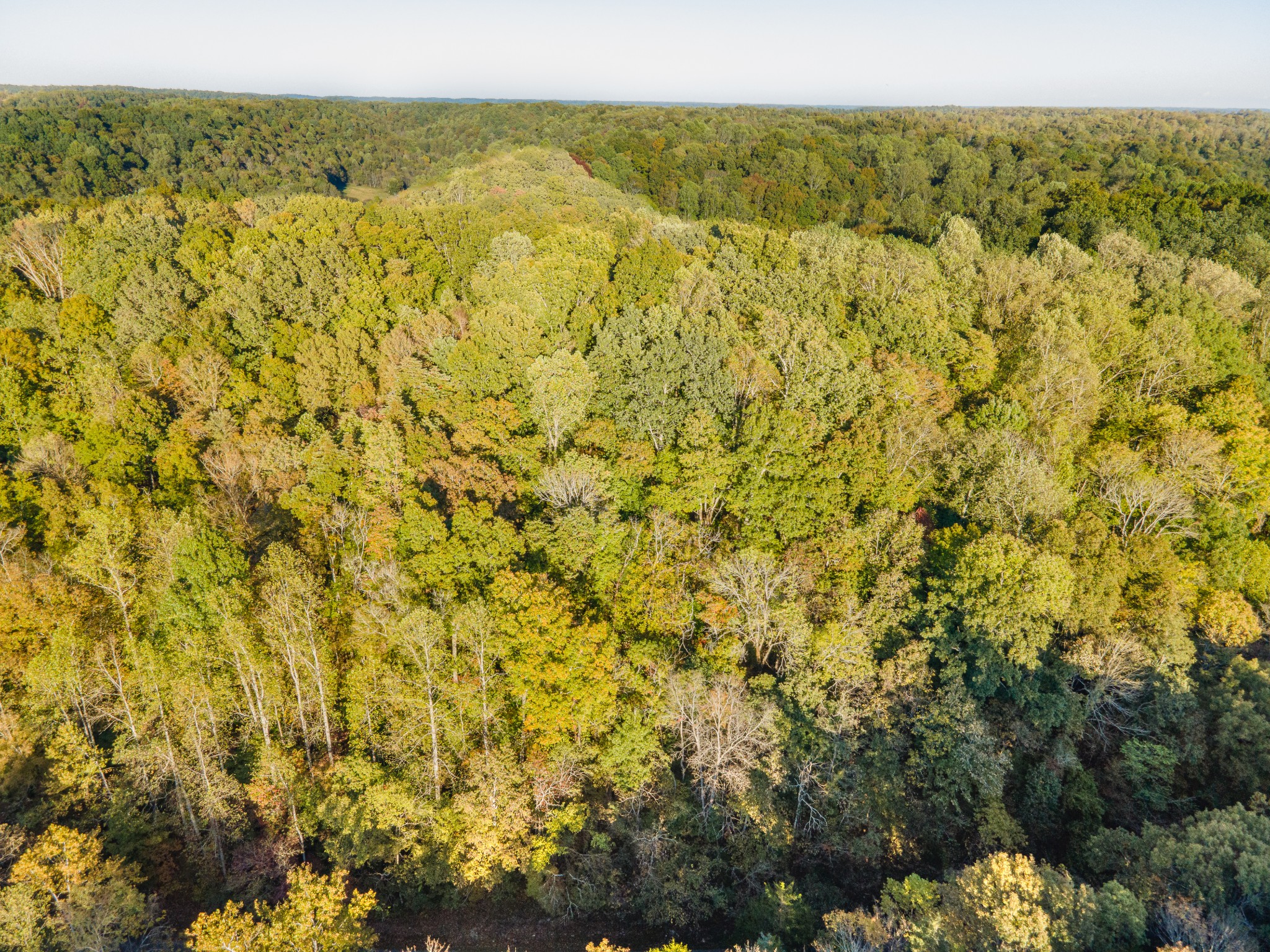 0 John Barnes Road Cornersville, TN 37047 - Photo 32 of 33 a view of a lake with an outdoor space