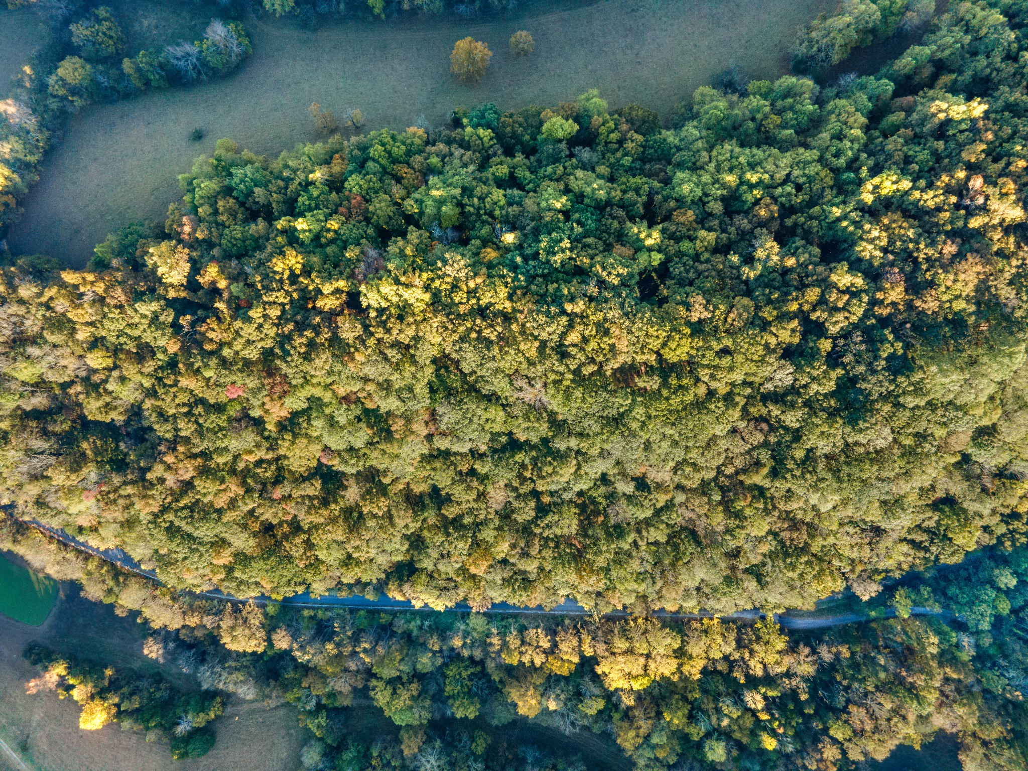 0 John Barnes Road Cornersville, TN 37047 - Photo 33 of 33 a view of a lake with a tree