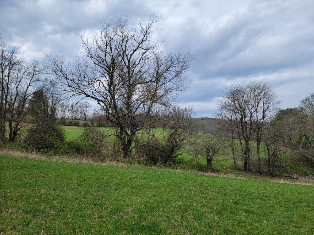 Tbd Hunters Ridge Road Hillsville, VA 24343 - Photo 3 of 64 Gallery Image 3