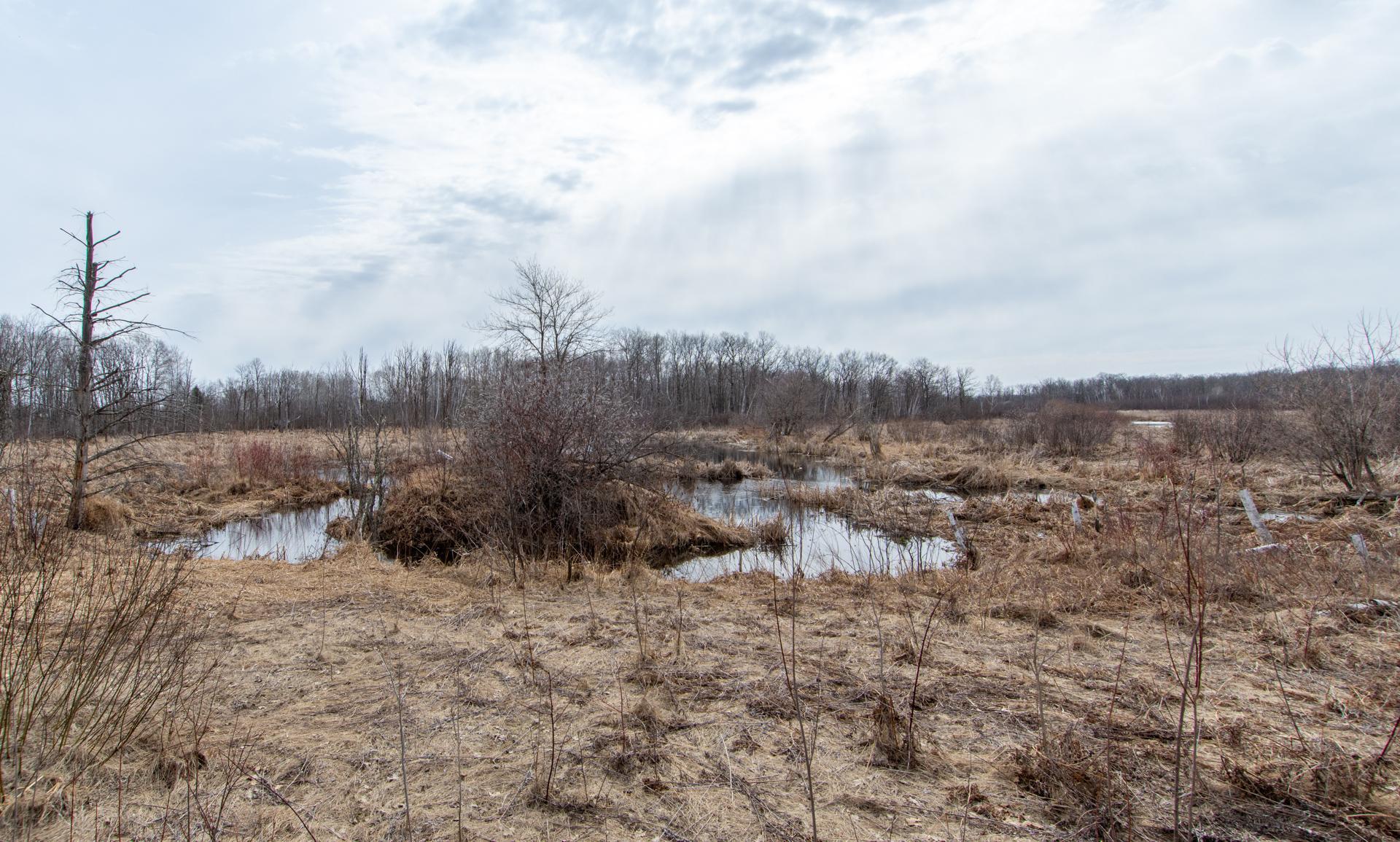 Xxx 360th Street Onamia, MN 56359 - Photo 13 of 17