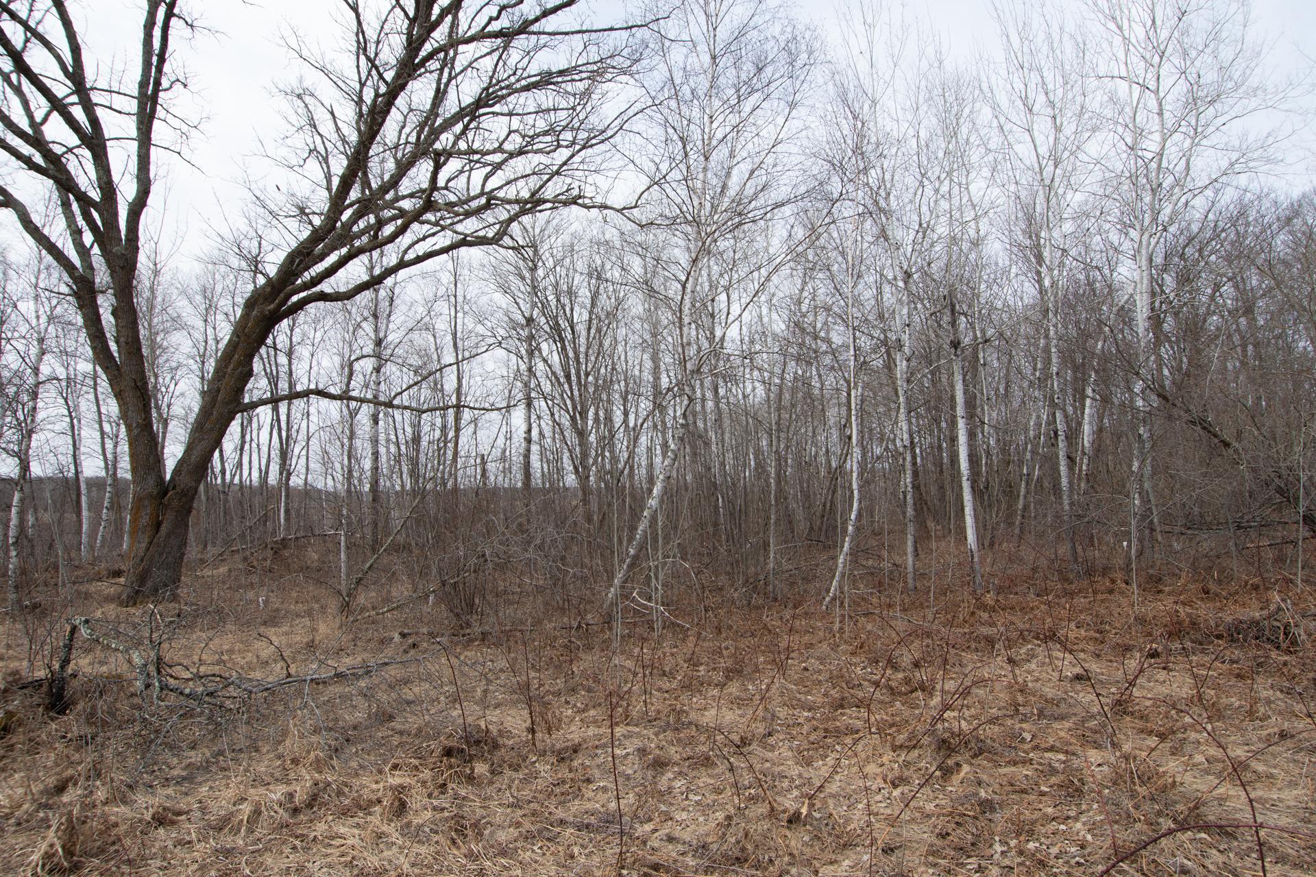 Xxx 360th Street Onamia, MN 56359 - Photo 15 of 17