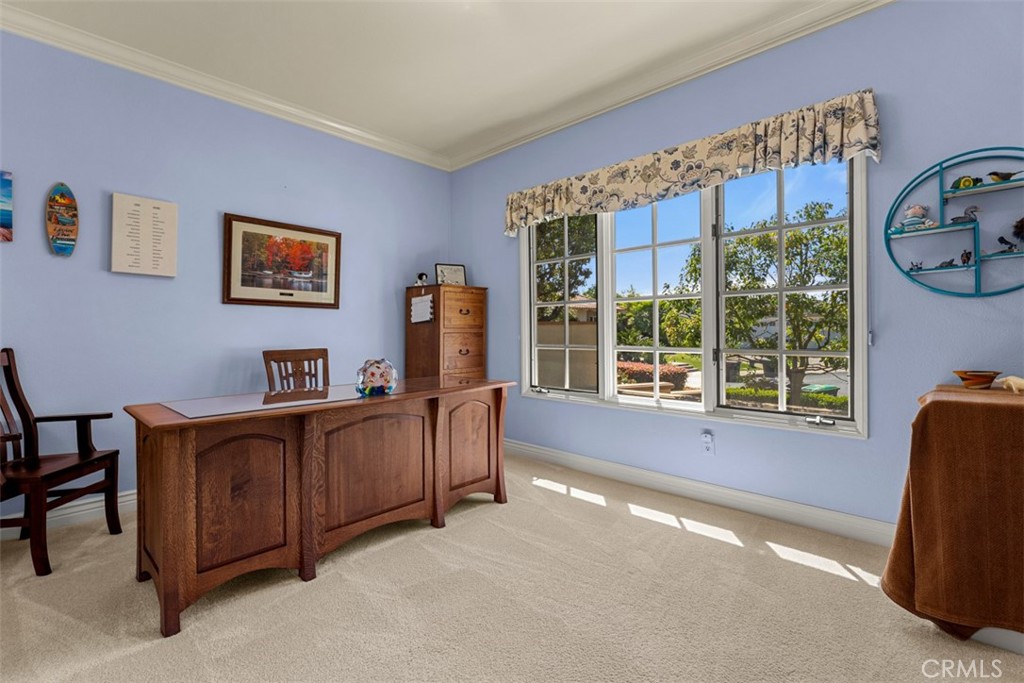 32432 Via Antibes Dana Point, CA 92629 - Photo 28 of 44