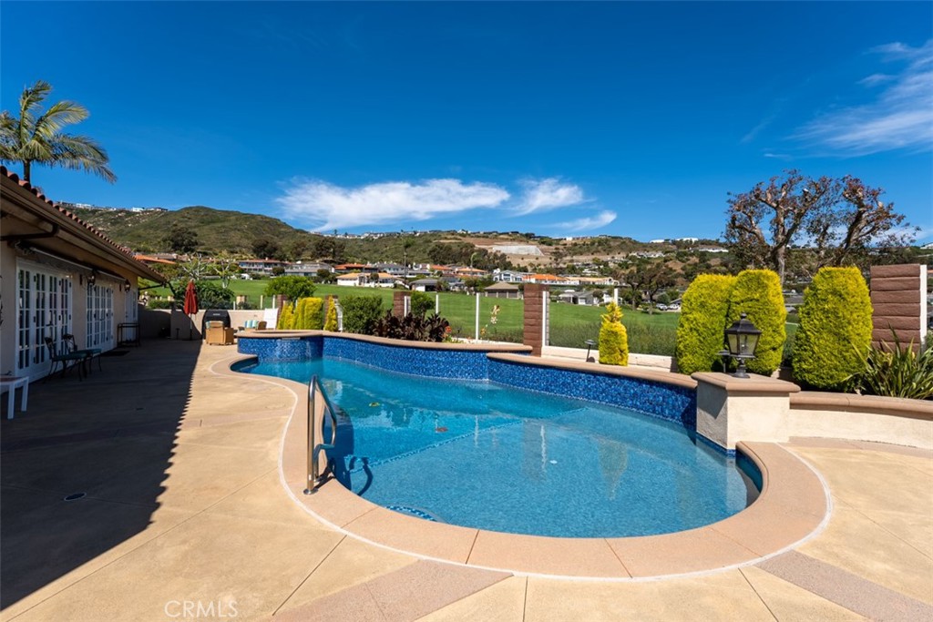 32432 Via Antibes Dana Point, CA 92629 - Photo 36 of 44