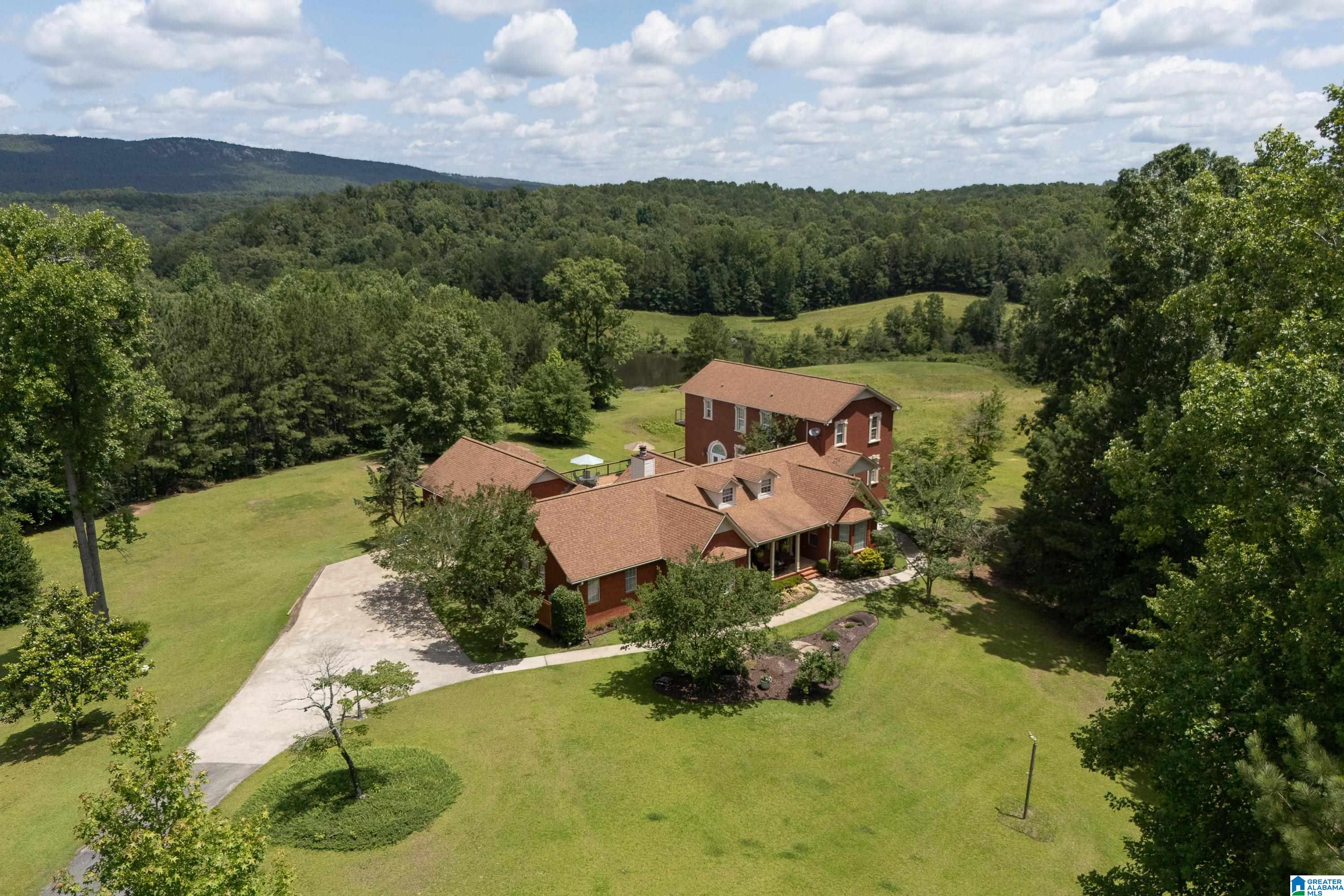 320 Wolf Pen Ridge Road Pell City, AL 35128 - Photo 4 of 100