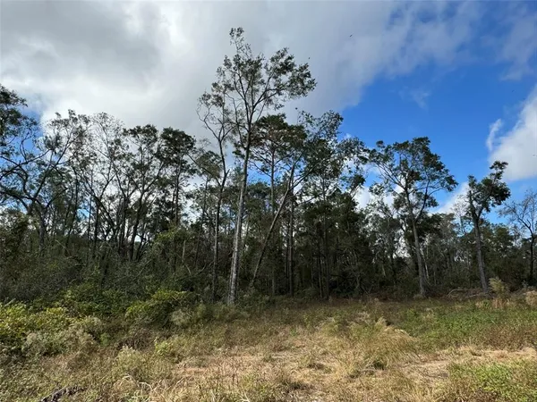 $21,400 | 143rd Drive, O'Brien, FL 32071