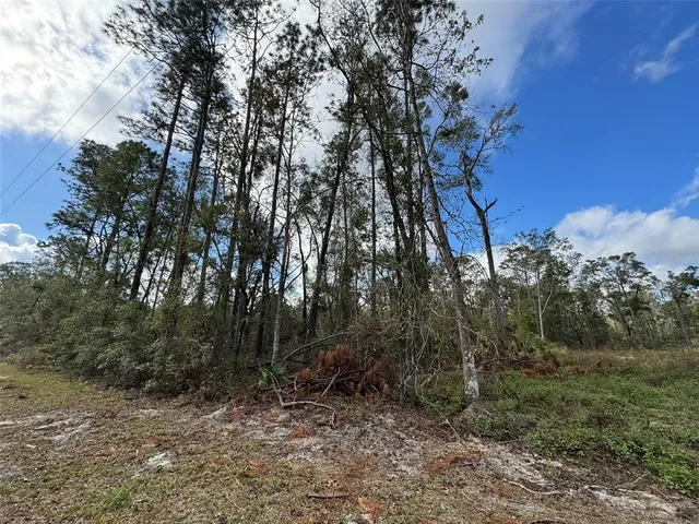 $21,400 | 143rd Drive, O'Brien, FL 32071