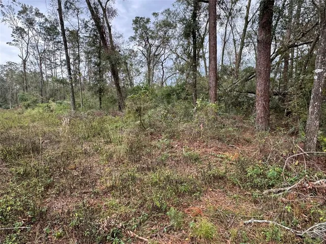 $21,400 | 143rd Drive, O'Brien, FL 32071