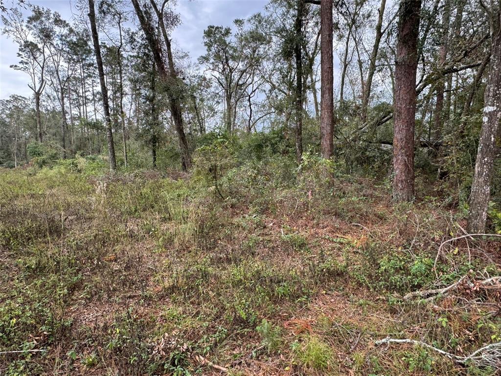 143rd Drive O'Brien, FL 32071 - Photo 4 of 8