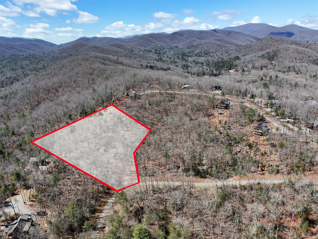 Lot 15 Native Trail Cherry Log, GA 30522 - Photo 11 of 11