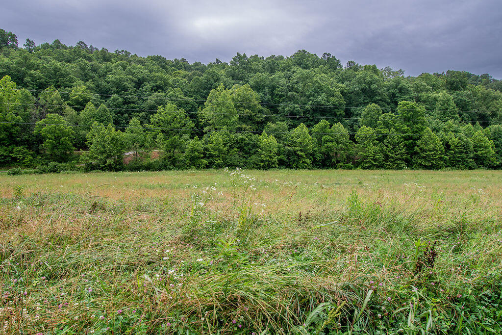 0 R R Vancleve Road Campton, KY 41301 - Photo 9 of 22 DSC_1801