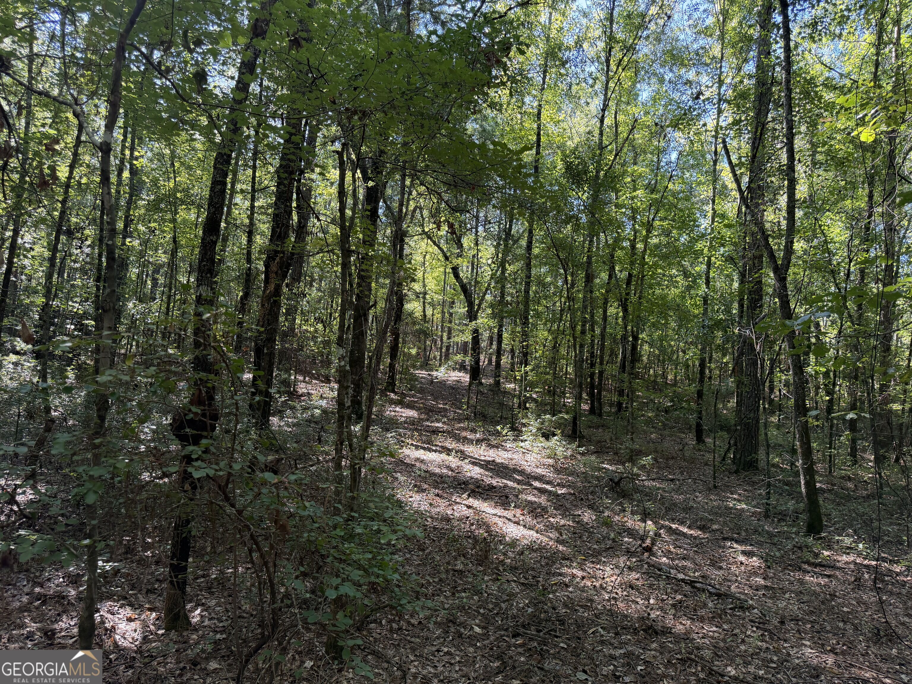 0 Pig Road Bartow, GA 30413 - Photo 23 of 44 Gallery Image 23