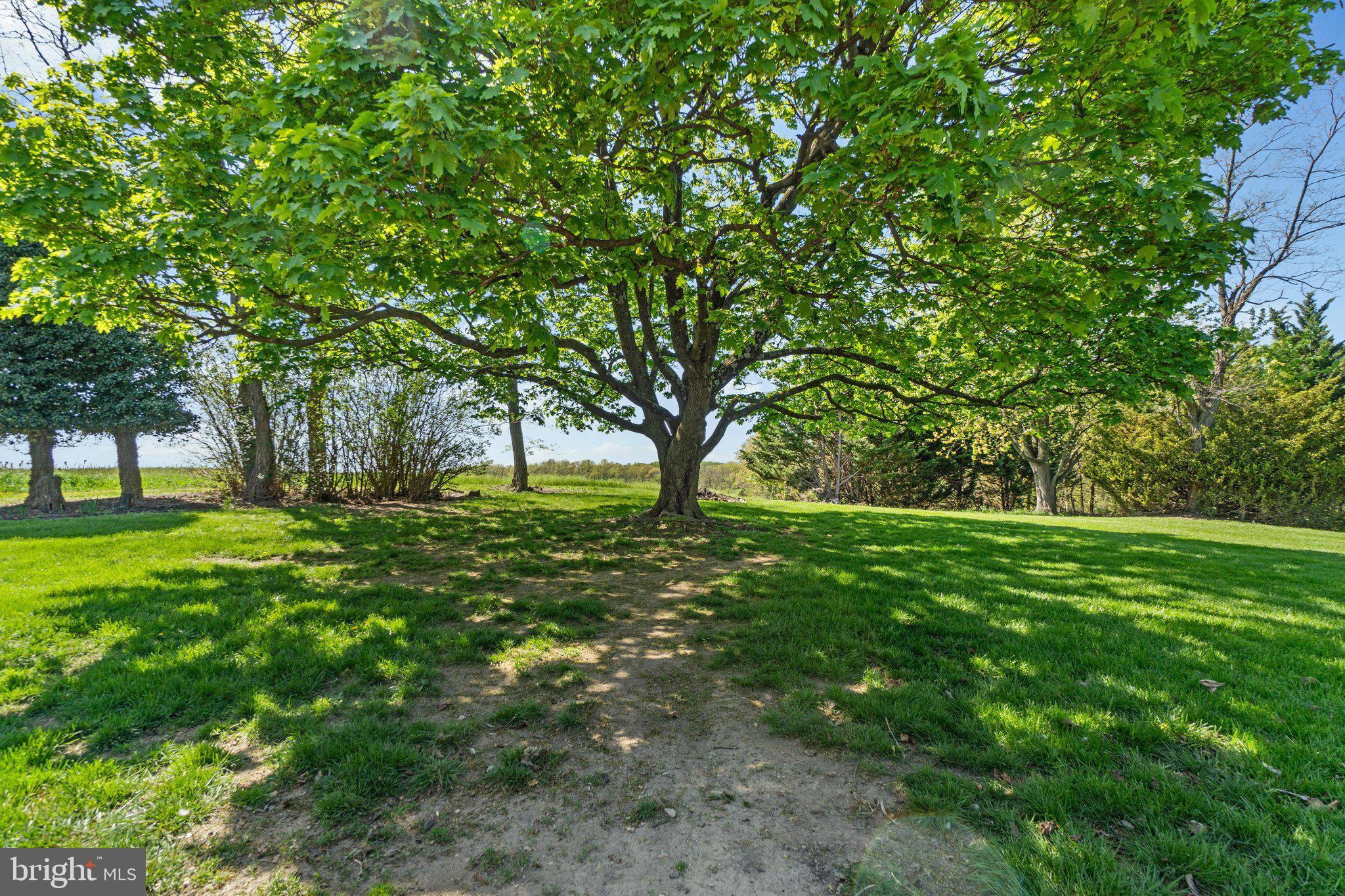 14958 New Windsor Road New Windsor, MD 21776 - Photo 38 of 38 Peaceful Grounds Backs to 52 Acre Private Farm