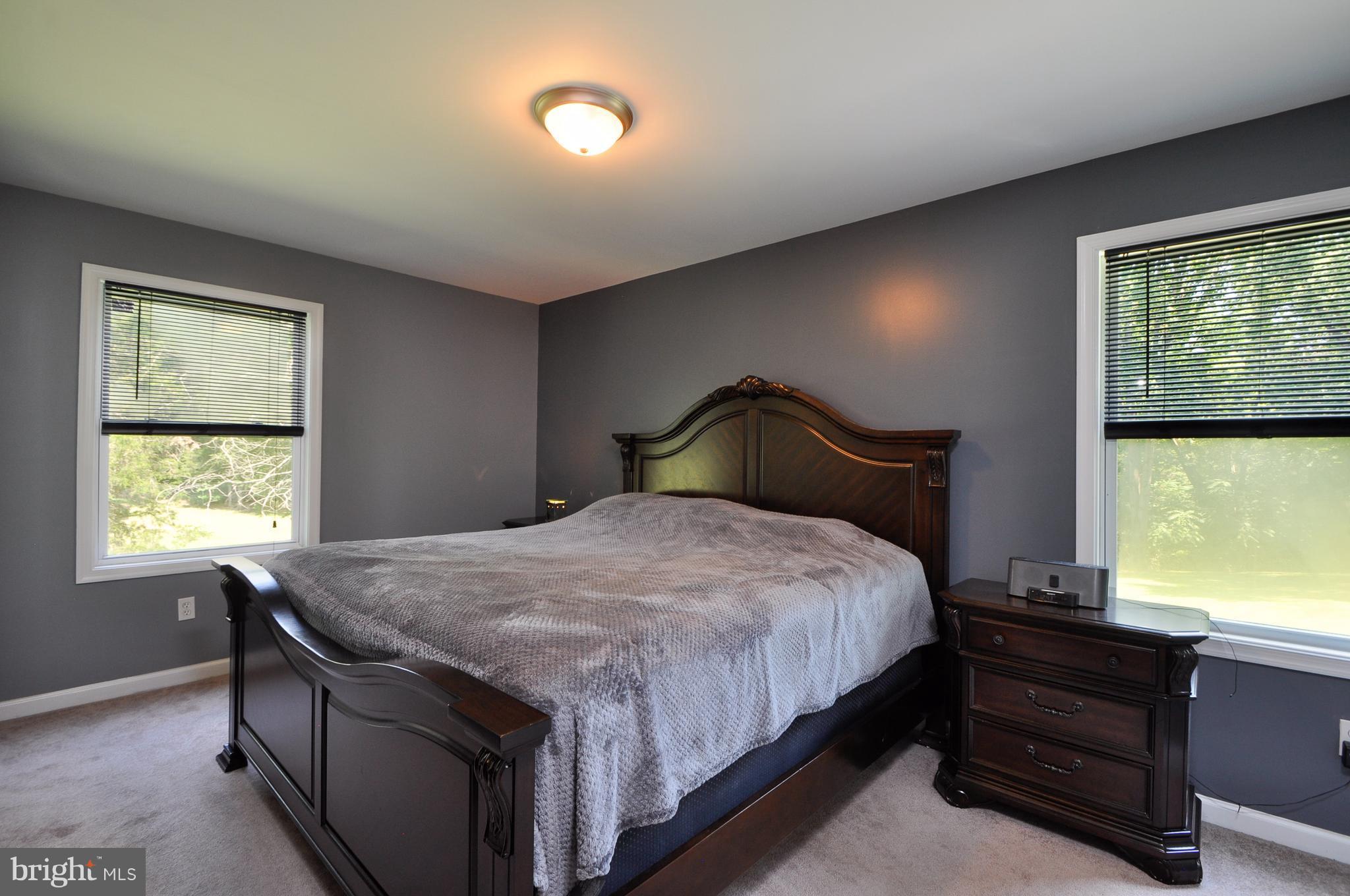 20655 Lahore Road Orange, VA 22960 - Photo 13 of 26 Bedroom (Master)