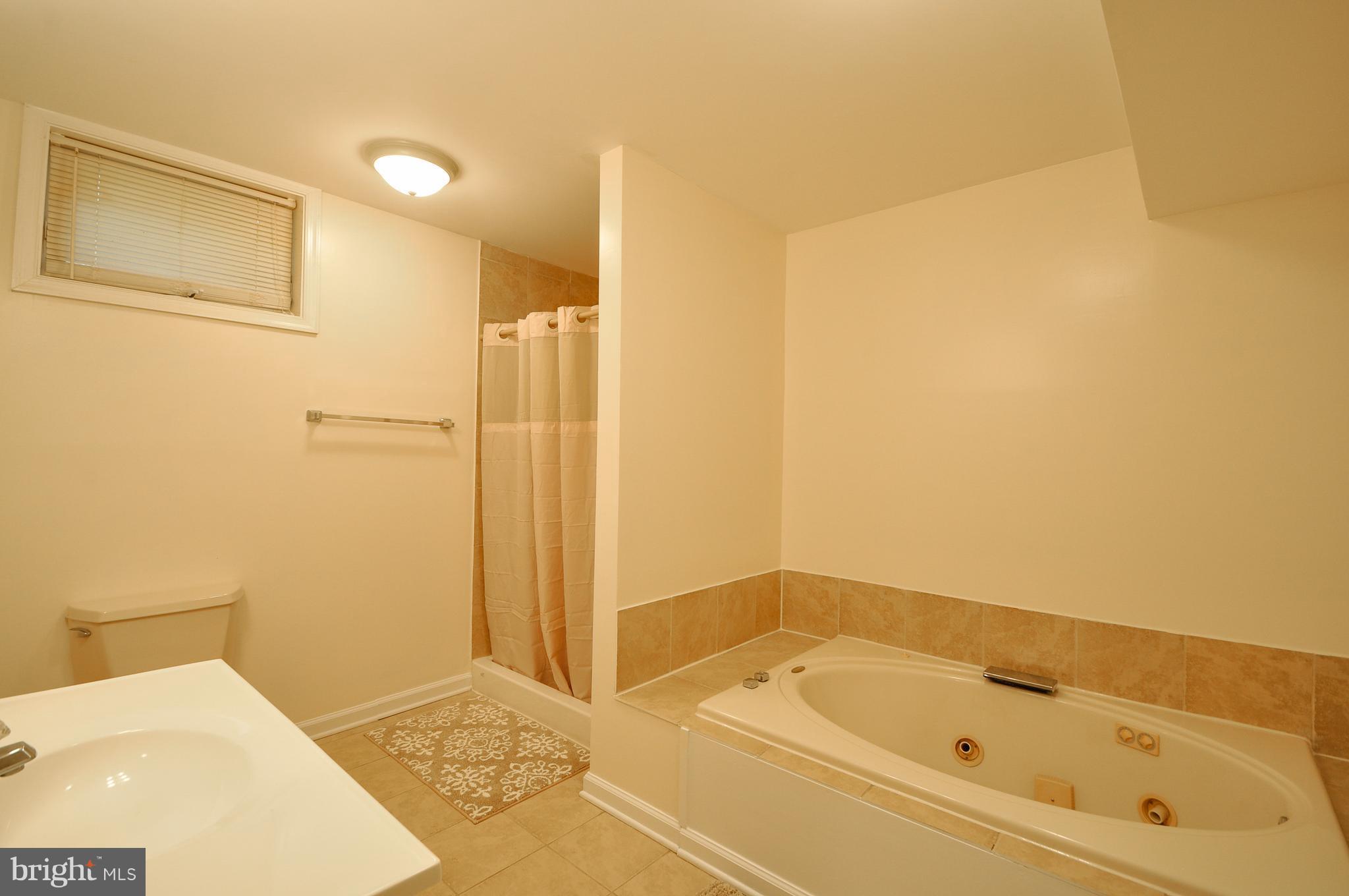 20655 Lahore Road Orange, VA 22960 - Photo 21 of 26 Basement