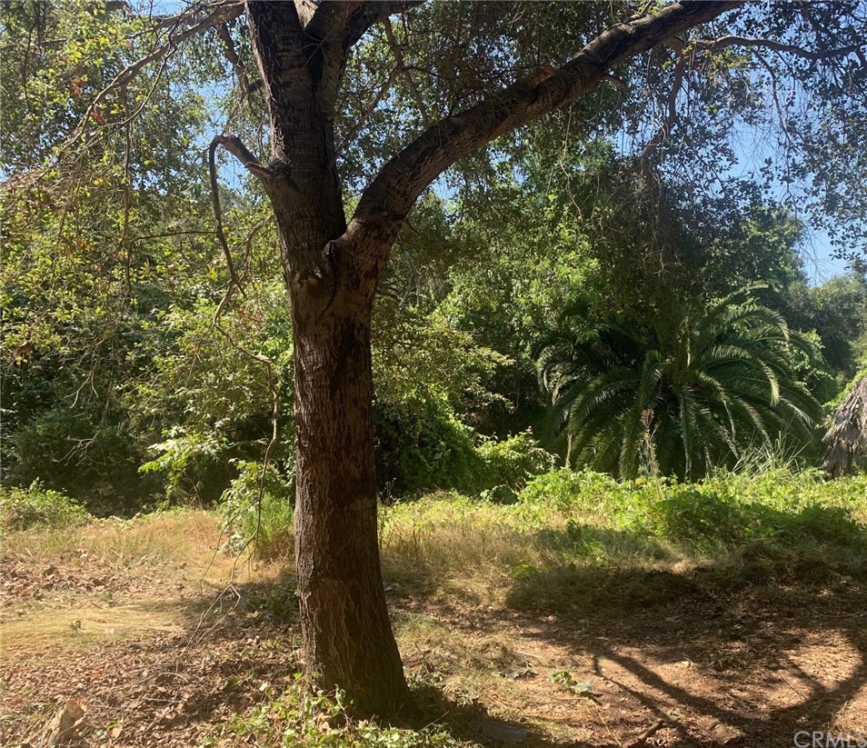 0 Davis Fallbrook Ca Fallbrook, CA 92028 - Photo 1 of 11 a view of a yard with large tree