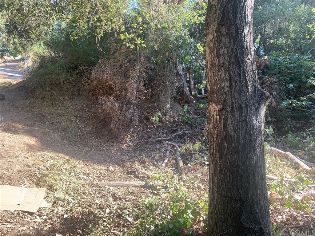 0 Davis Fallbrook Ca Fallbrook, CA 92028 - Photo 2 of 11 a view of a yard with a tree