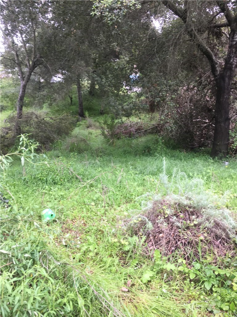 0 Davis Fallbrook Ca Fallbrook, CA 92028 - Photo 6 of 11 a view of outdoor space and a yard