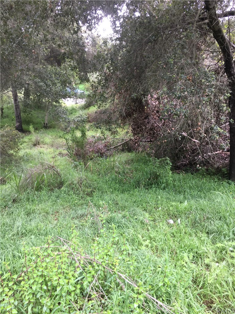 0 Davis Fallbrook Ca Fallbrook, CA 92028 - Photo 8 of 11 a view of a lush green space