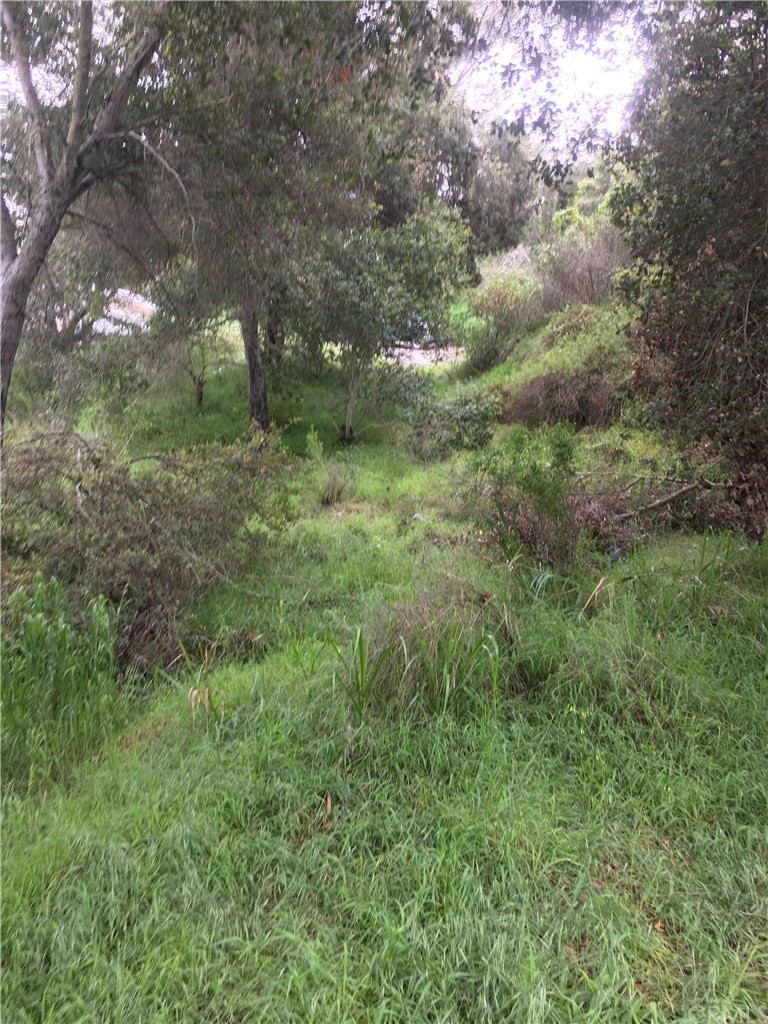 0 Davis Fallbrook Ca Fallbrook, CA 92028 - Photo 10 of 11 a view of a forest with trees