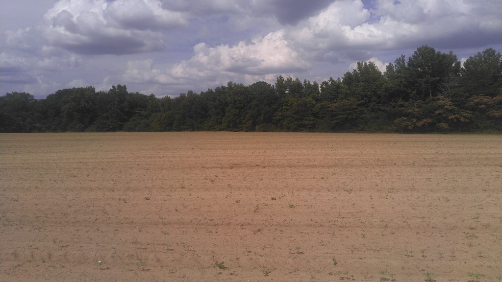 0 State Highway Slocomb, AL 36375 - Photo 4 of 4