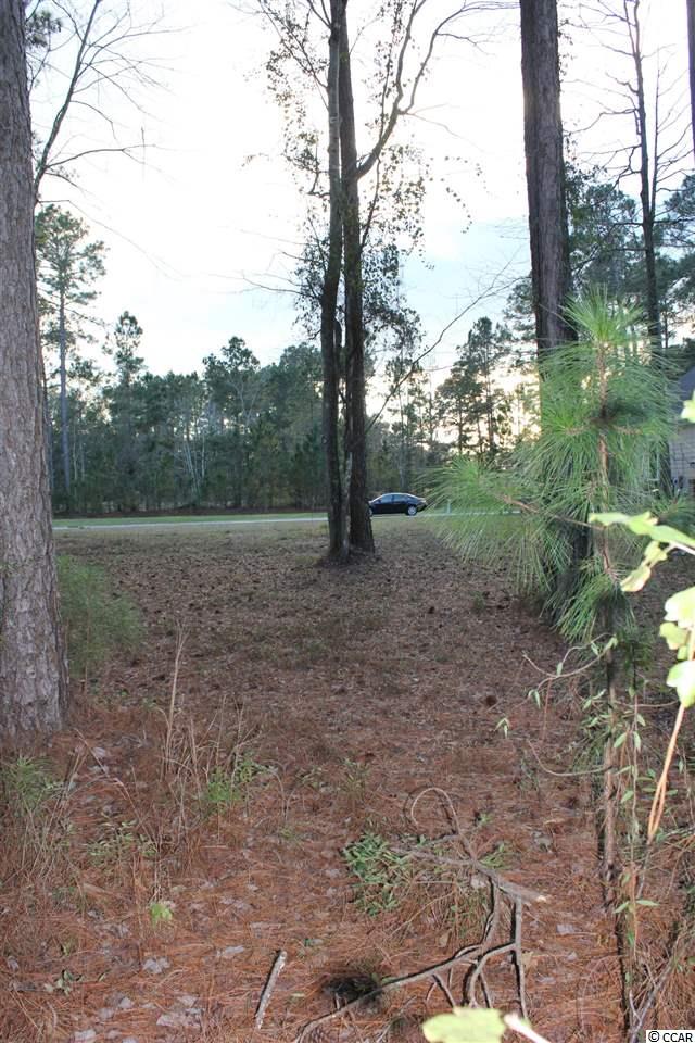 Lot 345 Timmerman Road Myrtle Beach, SC 29588 - Photo 11 of 25 Gallery Image 11