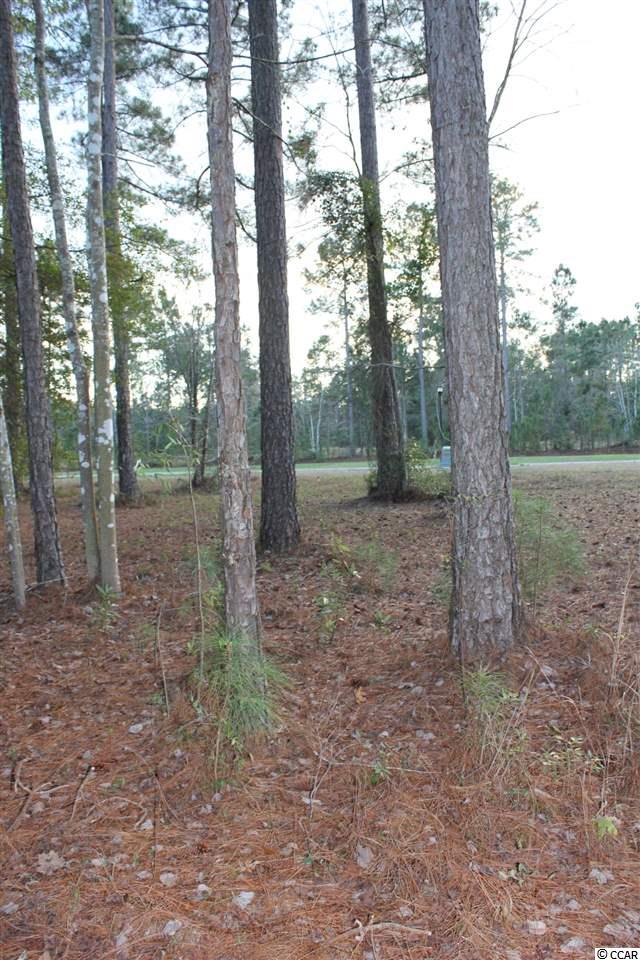 Lot 345 Timmerman Road Myrtle Beach, SC 29588 - Photo 12 of 25 Gallery Image 12