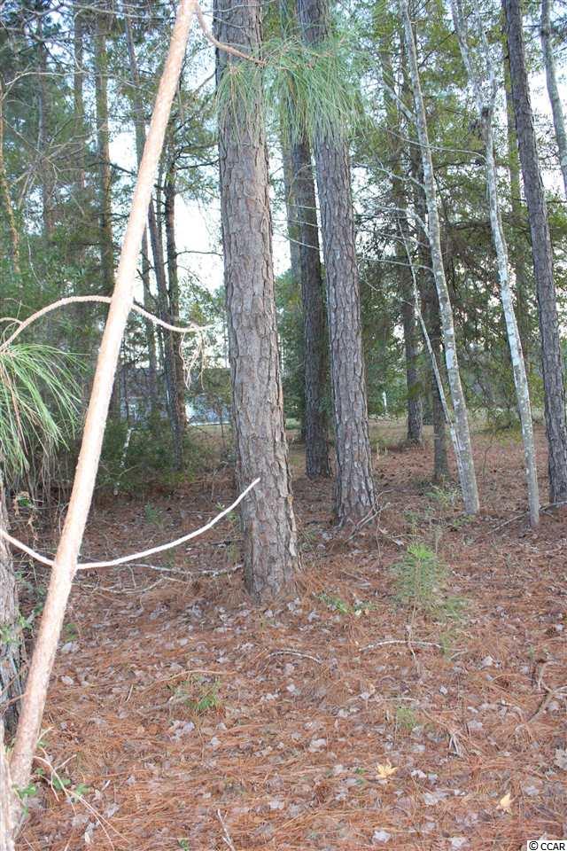 Lot 345 Timmerman Road Myrtle Beach, SC 29588 - Photo 13 of 25 Gallery Image 13